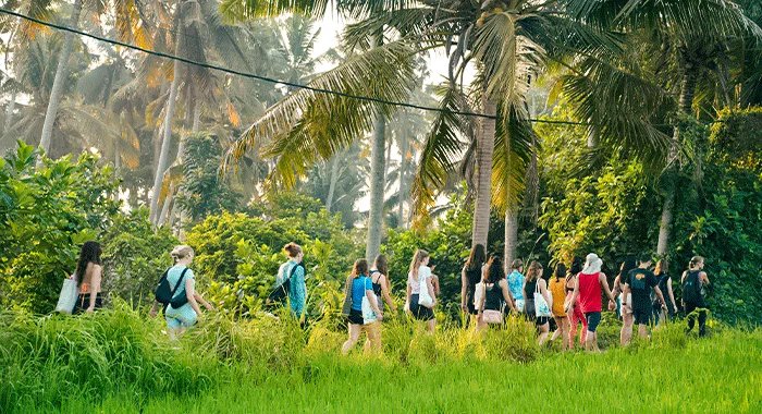 Nature Walk In Bali